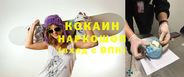 сатива Медногорск