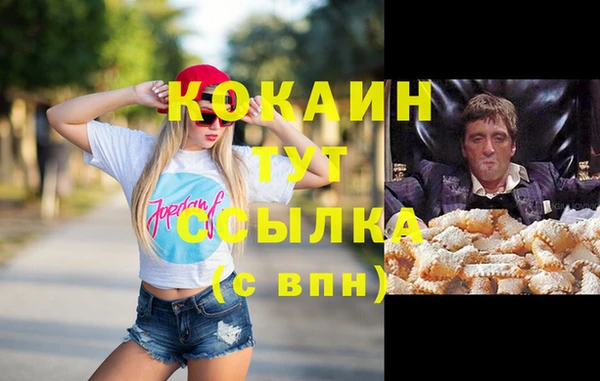 сатива Медногорск