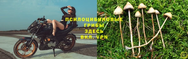 таблы Медвежьегорск