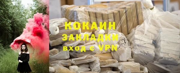 твердый Мегион