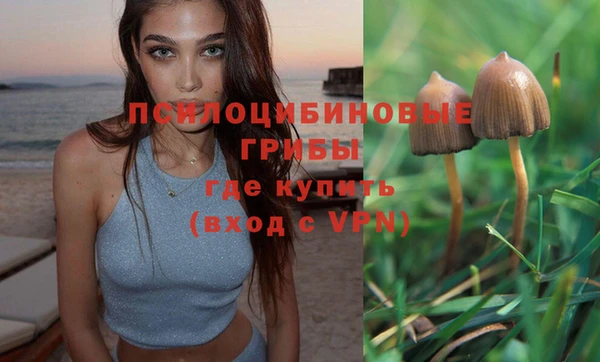 таблы Медвежьегорск