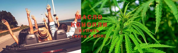 сатива Медногорск