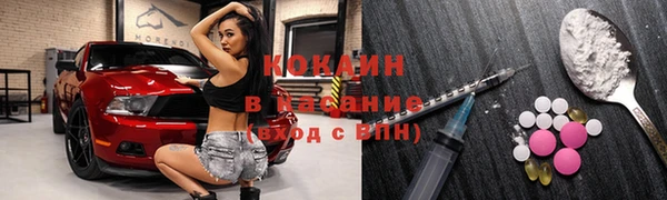 молекула духа Покров