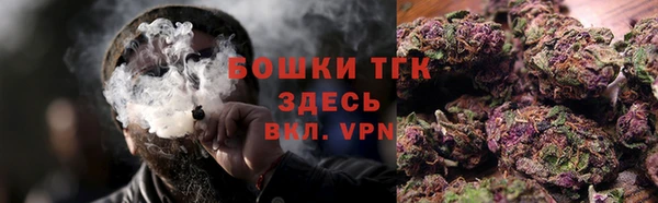 твердый Мегион