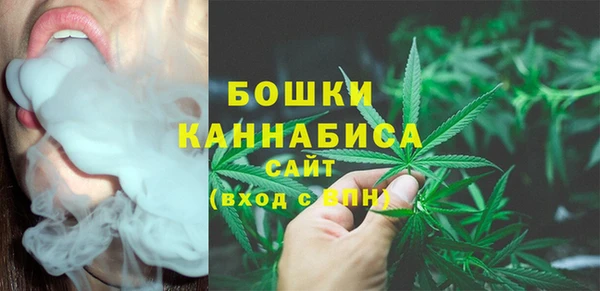 сатива Медногорск